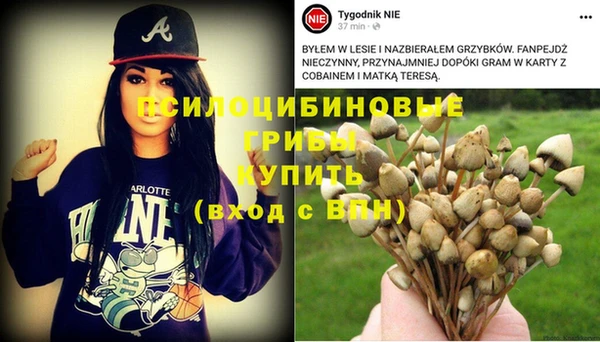 ПСИЛОЦИБИНОВЫЕ ГРИБЫ Балахна