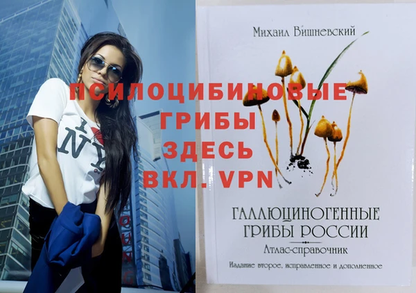 ПСИЛОЦИБИНОВЫЕ ГРИБЫ Балахна