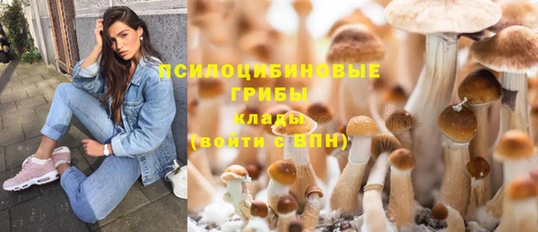 ПСИЛОЦИБИНОВЫЕ ГРИБЫ Балахна