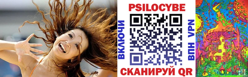 дарнет шоп  Бикин  Псилоцибиновые грибы GOLDEN TEACHER 